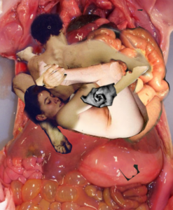 Collage 1